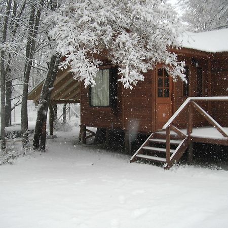 Cabanas Roble Quemado Las Trancas Exterior foto