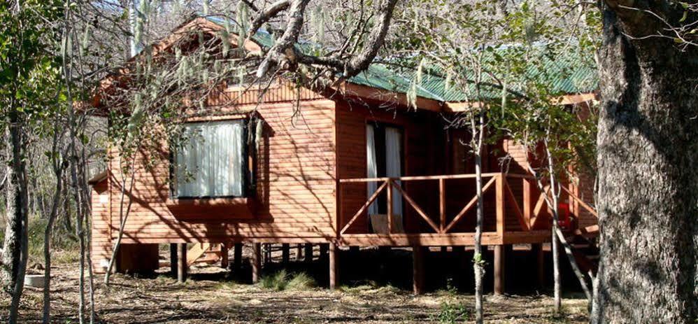 Cabanas Roble Quemado Las Trancas Exterior foto