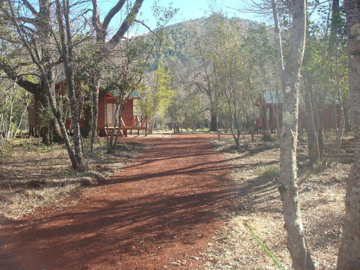 Cabanas Roble Quemado Las Trancas Zimmer foto