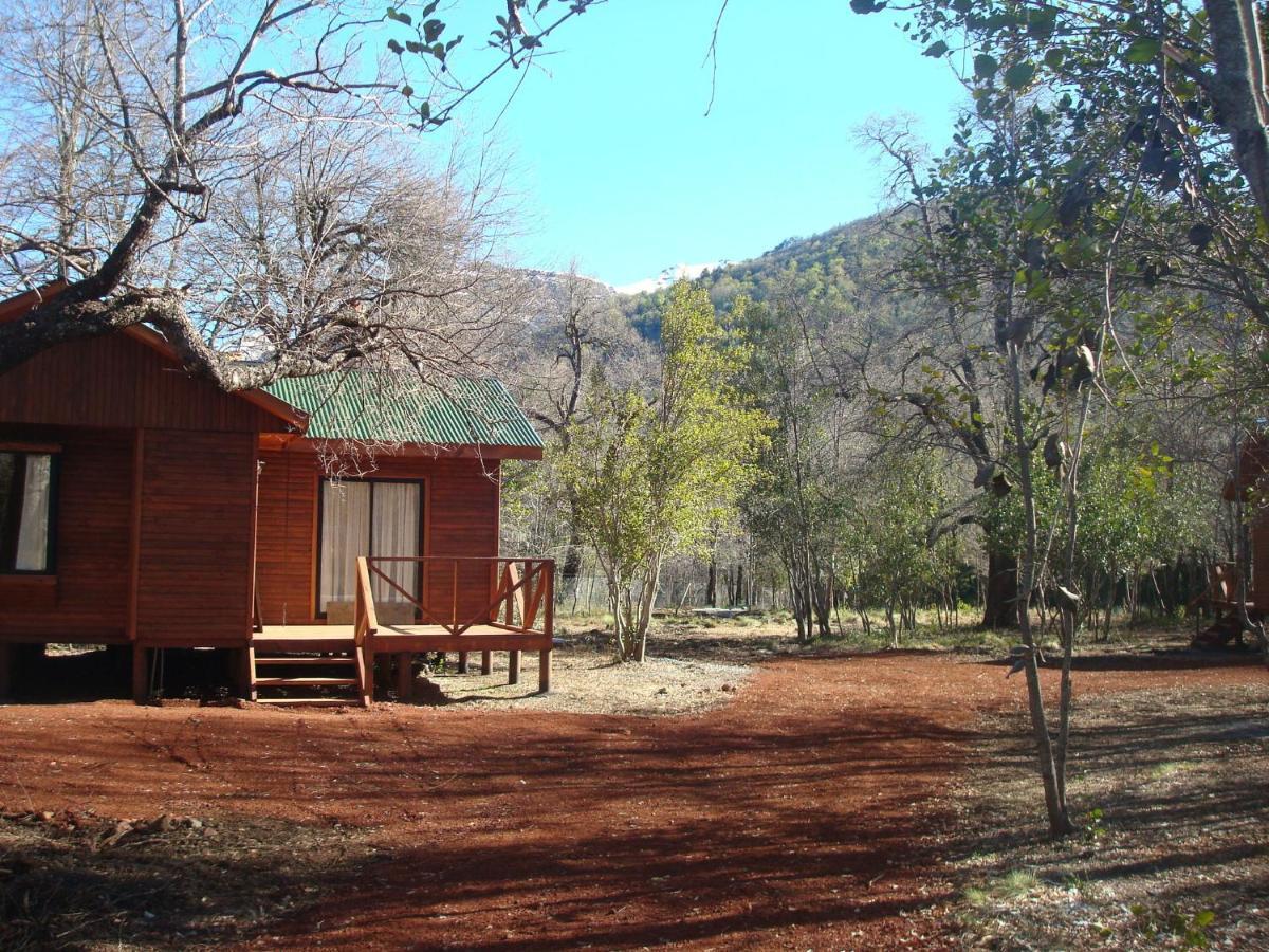 Cabanas Roble Quemado Las Trancas Zimmer foto