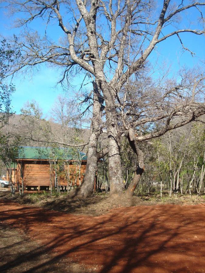 Cabanas Roble Quemado Las Trancas Zimmer foto